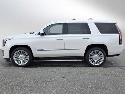 2020 Cadillac Escalade Platinum
