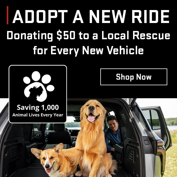 Dogust